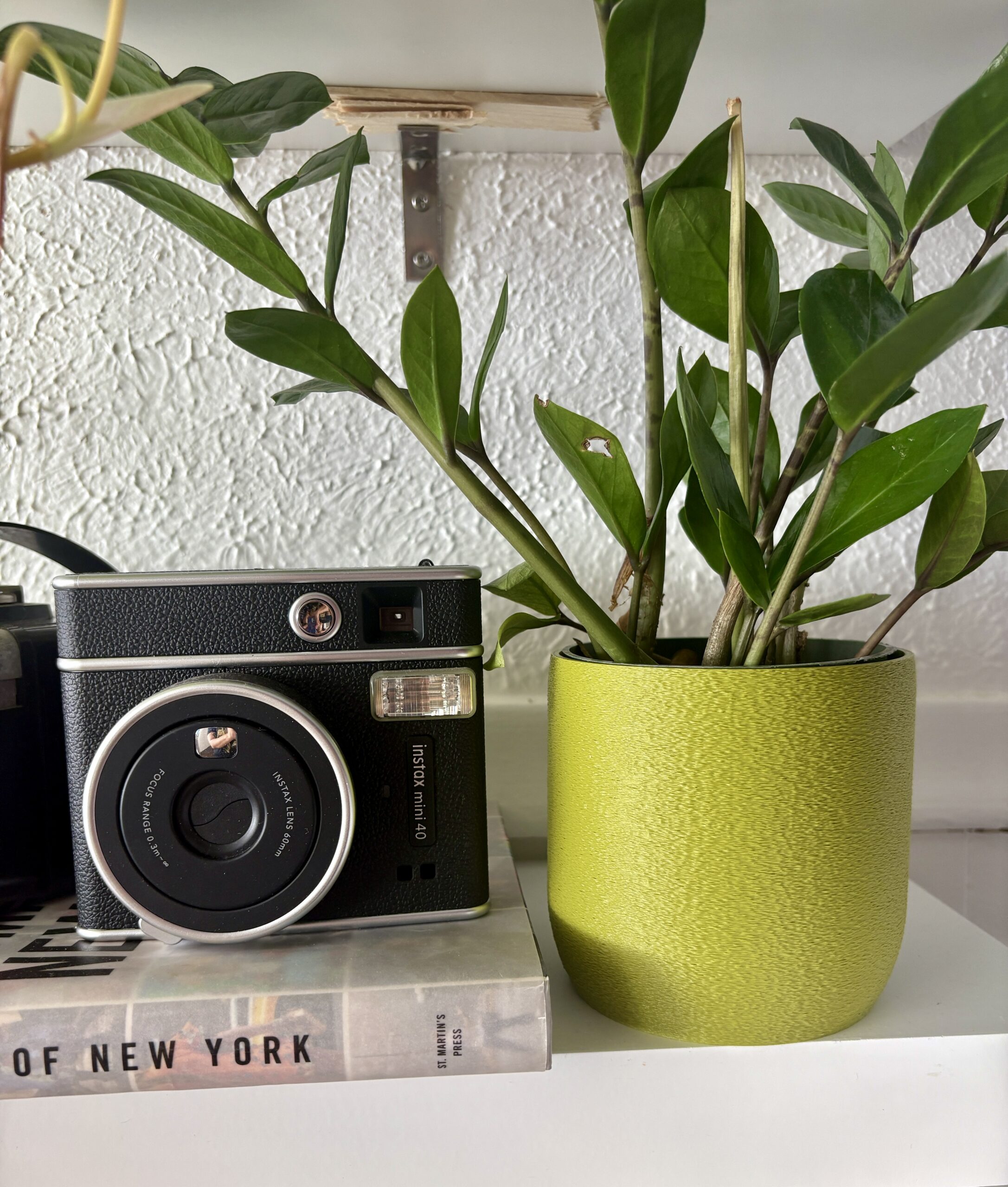 Eco-Friendly Holiday Guide: Finding Unique, Customizable Leafprints.3D Gifts This Season | OliveZZ scaled