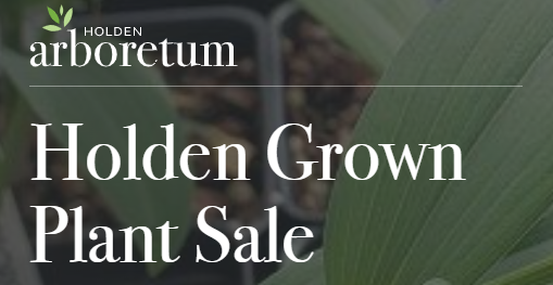 Holden Grown Plant Sale | HoldenGrown